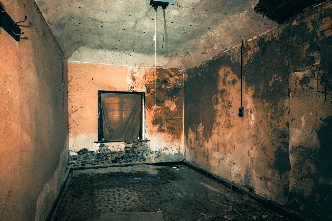 SmeggedAU's tweet photo. The rotting room
https://t.co/XVCz8chrdk https://t.co/o0I7wCqVin