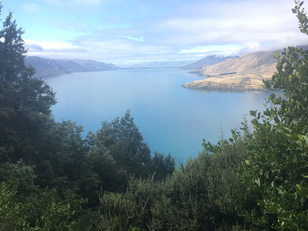NaturalHighBike's tweet photo. Summer lovin' – where to head when the sun's shining: https://t.co/d1OlkAG3kT https://t.co/tuwTY3fagn