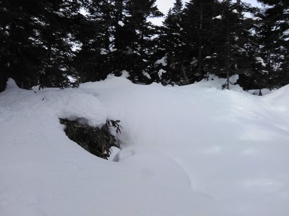 Murataclimb １日レストしてもう一度アカンダナ山アタック 昨日の雨と高温で雪崩の心配あり5時スタート なんとか安全に行ってきましたが急登はいいが山頂近辺の ツリーホールにはまいった アカンダナ山 もう一度 登頂 ツリーホールヤバい