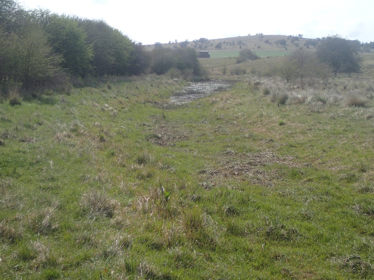 Kirstie_F's tweet photo. Learn about why it's important to respect #geomorphic river diversity in management. Our article in the @AustRiverRestor Centre newsletter- https://t.co/3kpoejSDxU #RiverStyles @MQEarthEnv @MQSciEng @PhysicalGeogIN @intlrivers @EGU_GM @NSWDPIE_Water @RESTORErivers @IAGAIG @theAGU https://t.co/Vx2pOMWXuX