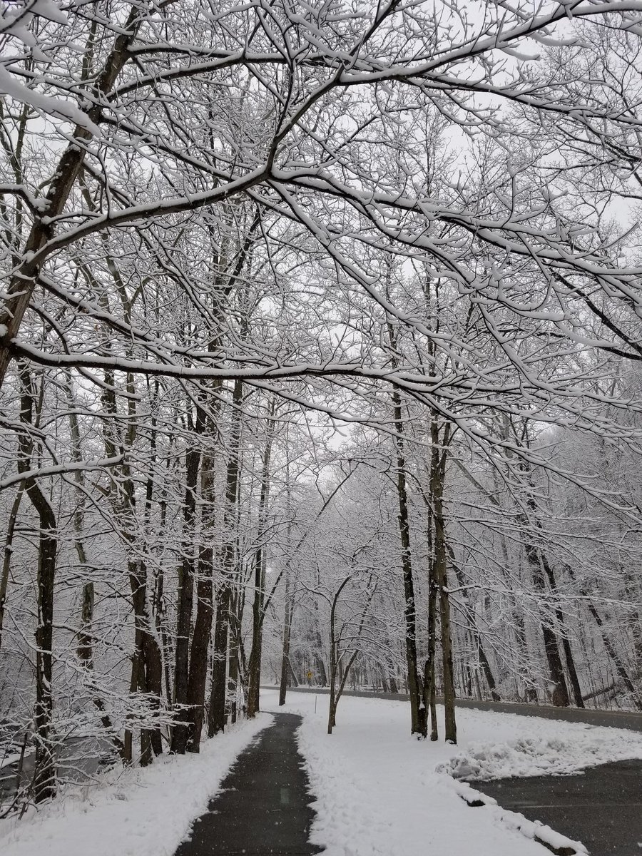 #WinterScenes ❄❄❄❄