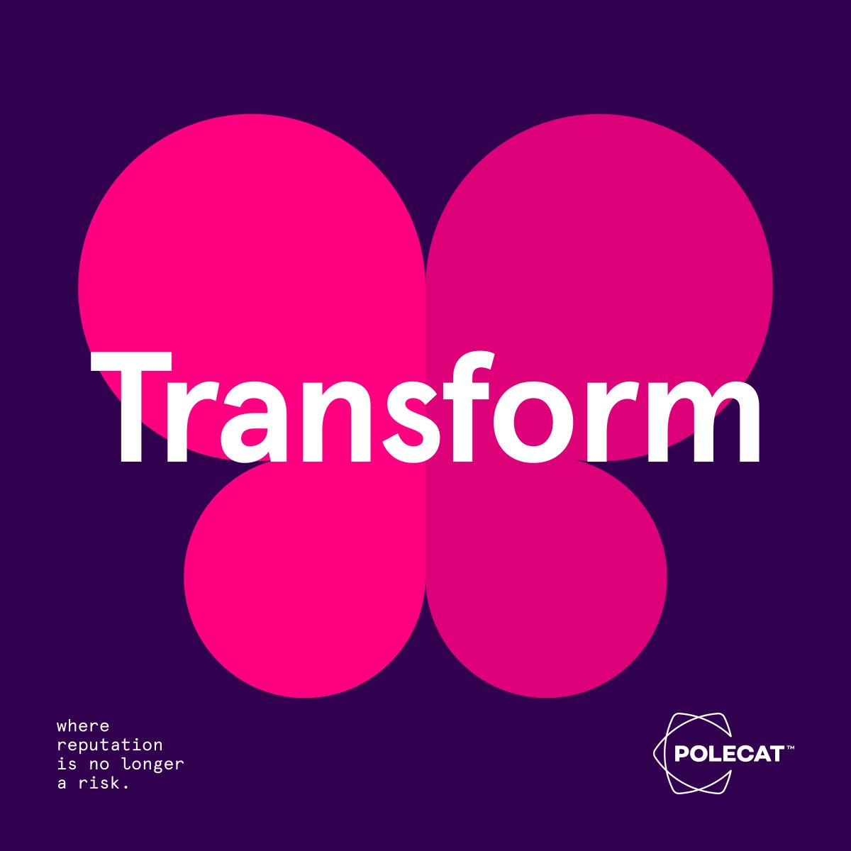 PolecatMM's tweet image. Is your organisation looking to expand into new markets in 2020? Polecat Intelligence helps build a new, stronger story for your brand by assessing the #reputationrisks and opportunities that exist. We uncover the unknowns and support your corporate transformational journey.