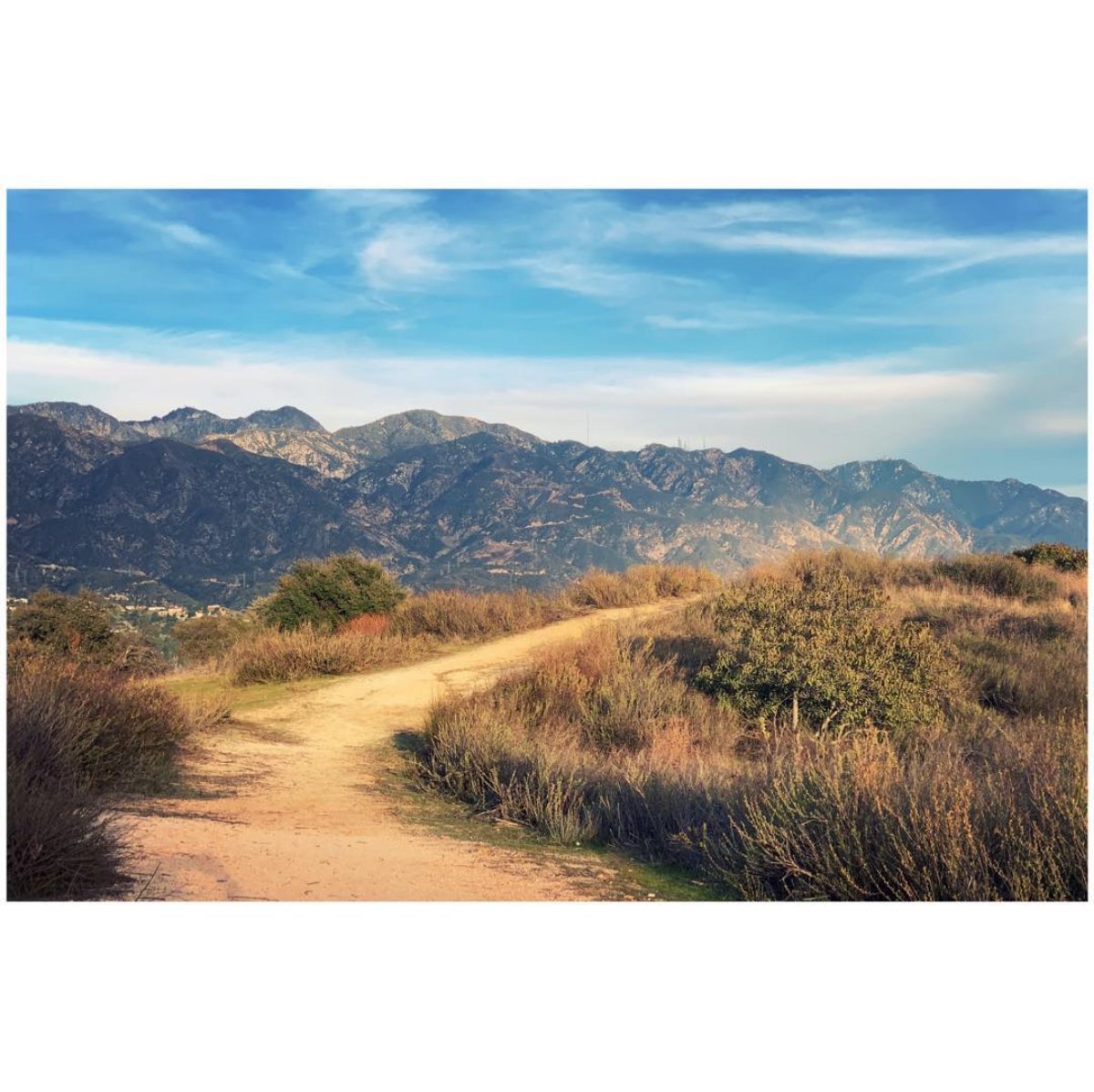 wild_yards's tweet photo. Winter Walk-Cherry Canyon/La Cañada
.
People like to beat up on California, but as far as I’m concerned, there is no place more stunning than this state. And don’t get me wrong, I love most of the US, but this vast, beleaguered, staggeringly bio-diverse state has my heart. https://t.co/tqPEnr8arA