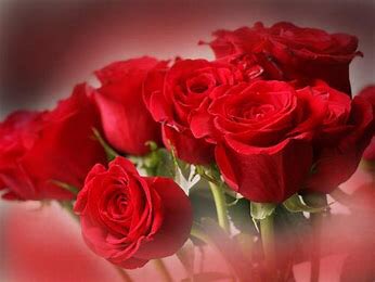 HolidayFunnnn's tweet photo. Remember tomorrow is Valentine’s Day!!!!!♥️♥️♥️♥️♥️♥️♥️♥️♥️♥️♥️♥️♥️♥️♥️♥️♥️♥️♥️♥️♥️♥️♥️♥️ https://t.co/BEsTZTujKX