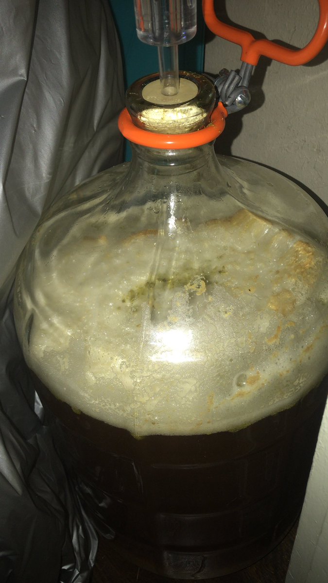 Pitched the second set of hops!! Yum!!