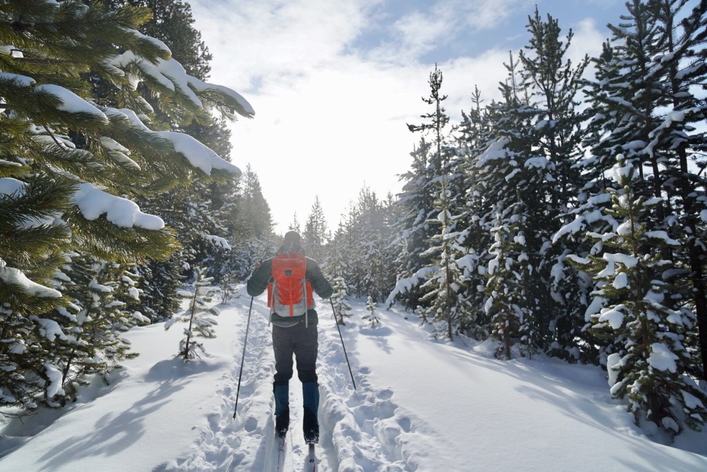 ChocoMooseImage's tweet image. Blog post :: Winter at 5300' chocolatemooseimages.com/2020/02/13/win…