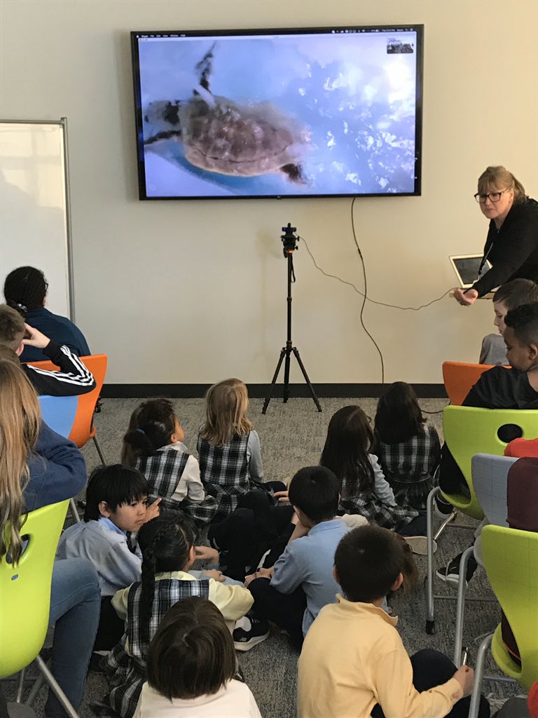 YourTechFairy's tweet photo. @SkypeClassroom with Sea Turtle Rehabilitation center!  What a fun way to support the work of these student activists who care so much!  #empathysolves #dfcusa @MPAPanthers @MPAMakerspace https://t.co/UXWorxuce2