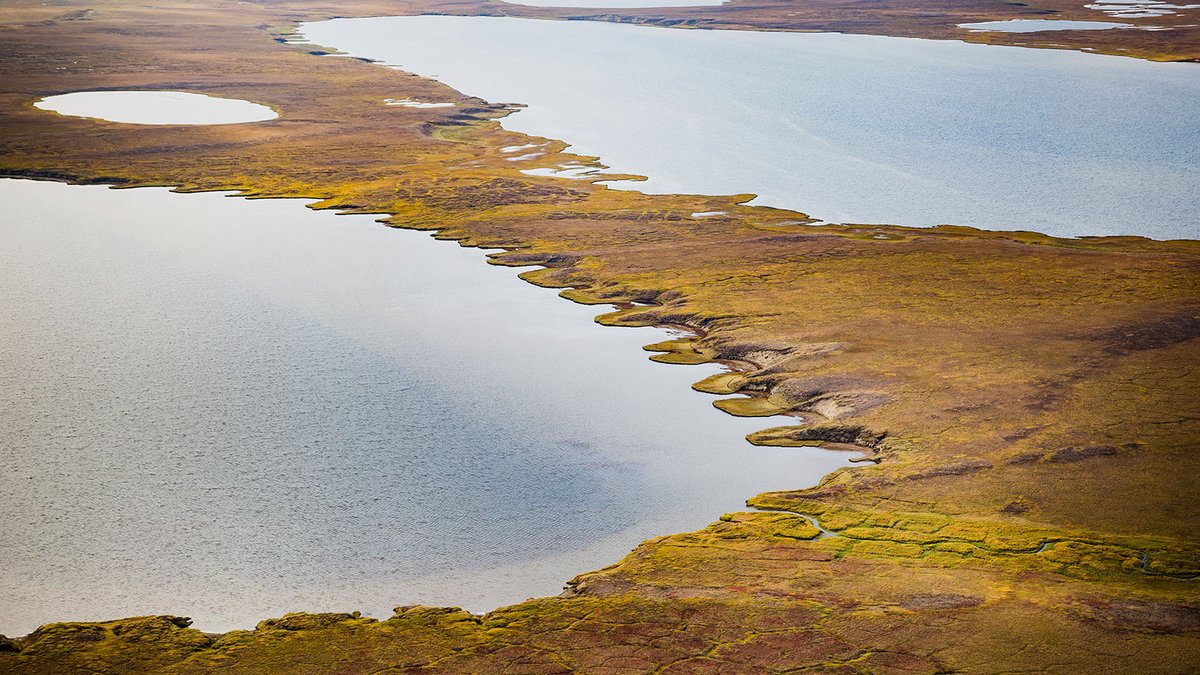 Invisible and odorless, but spotted.🧐
New study finds 2 million methane emission hotspots in the North American Arctic. Precise locations of these greenhouse gas emissions help scientists identify what factors may cause them. go.nasa.gov/3bB8YxA