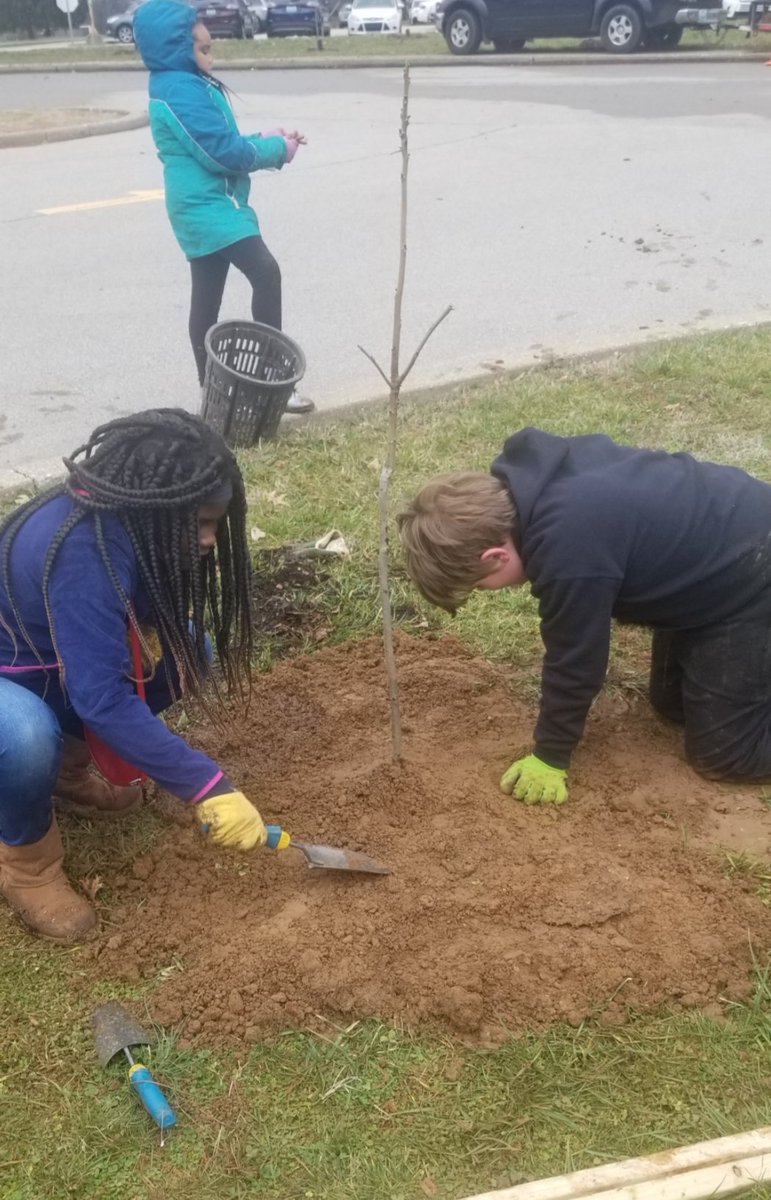 Our Klondike Bears are Globally and Culturally Competent Citizens at work! Saving our planet, one tree at a time!  @KlondikeLane @JCPSSuper @JCPSBackpack @JCPSKY Shout out to @mr_kicklighter  for organizing this great event!