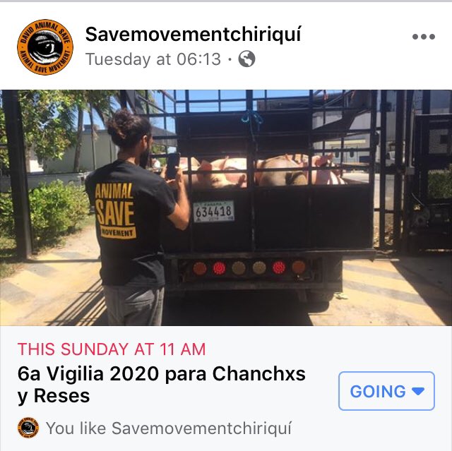 LiberacionP's tweet image. 6th Vigil with @DavidAnimalSave this coming Sunday!