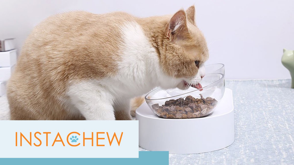 Instachew's tweet photo. Did you know that your cats will refuse unpalatable food to the point of starvation? Don't let that happen to your furry companion!
#instachew #smartpetproducts #smartpetfeeder #deepsleepbed #petcare #petkit #petshop #petsuppliesshop #puracat #litterbox #scratchandplaymat https://t.co/t4Tfjua4lc