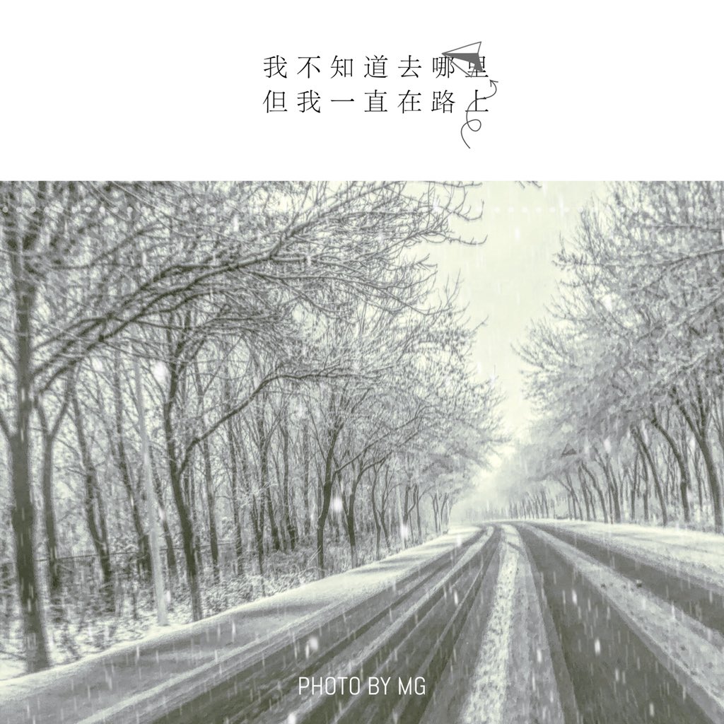 蘑菇🍄 (@purplelightman) on Twitter photo 