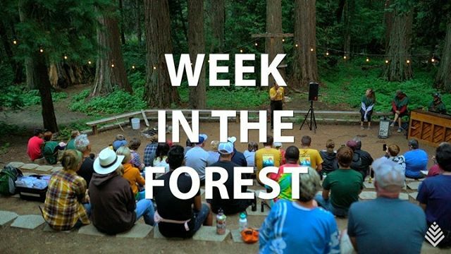 Calvin Crest Calvincrest Twitter