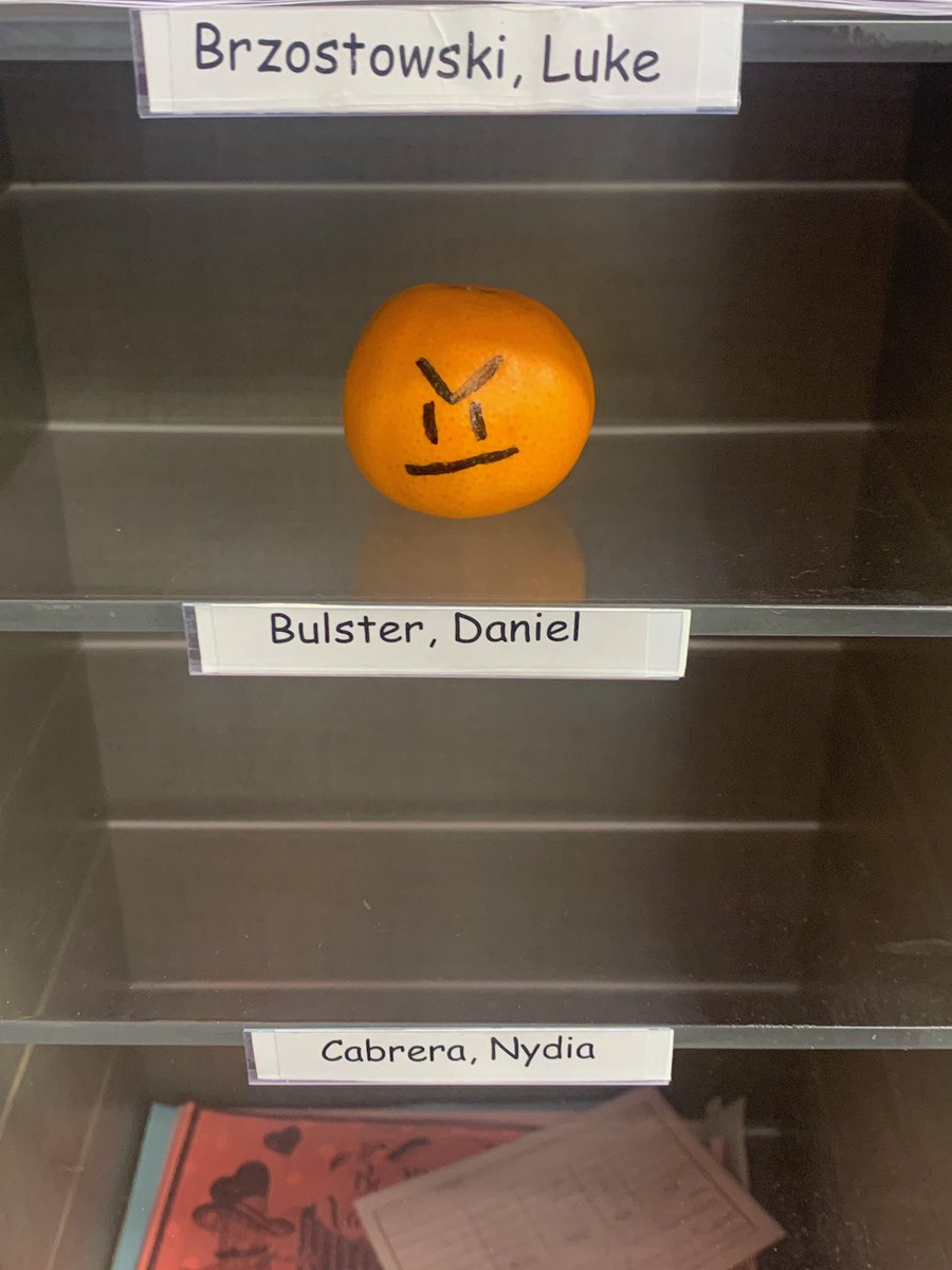 Patty Marconi tweet media