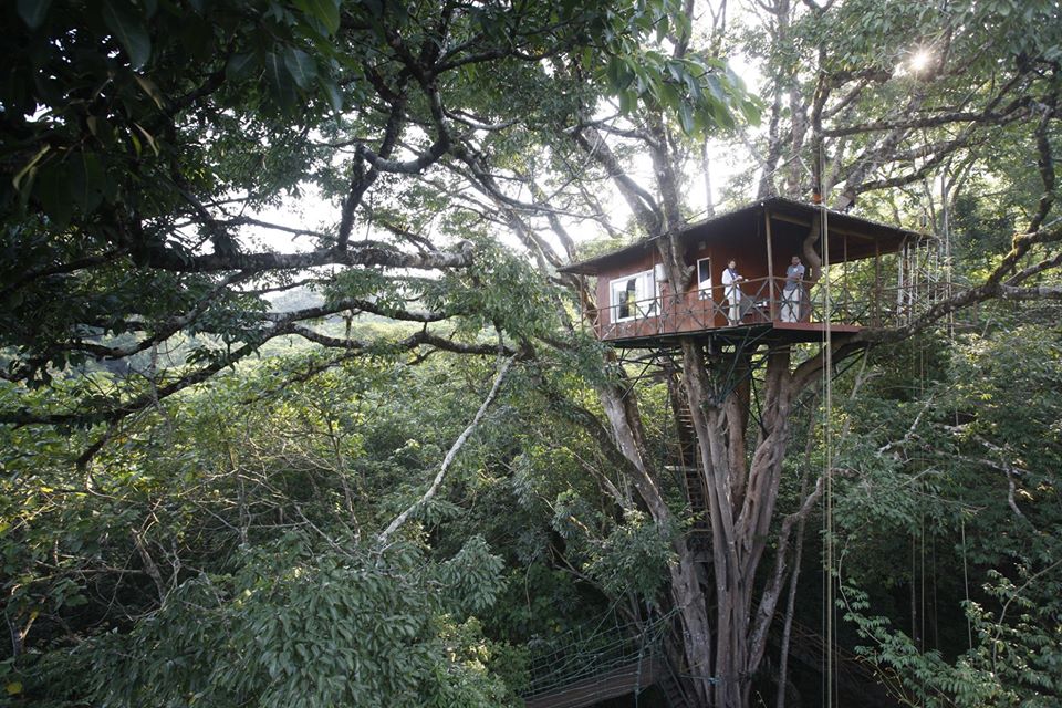 Vythiriresort Hashtag On Twitter