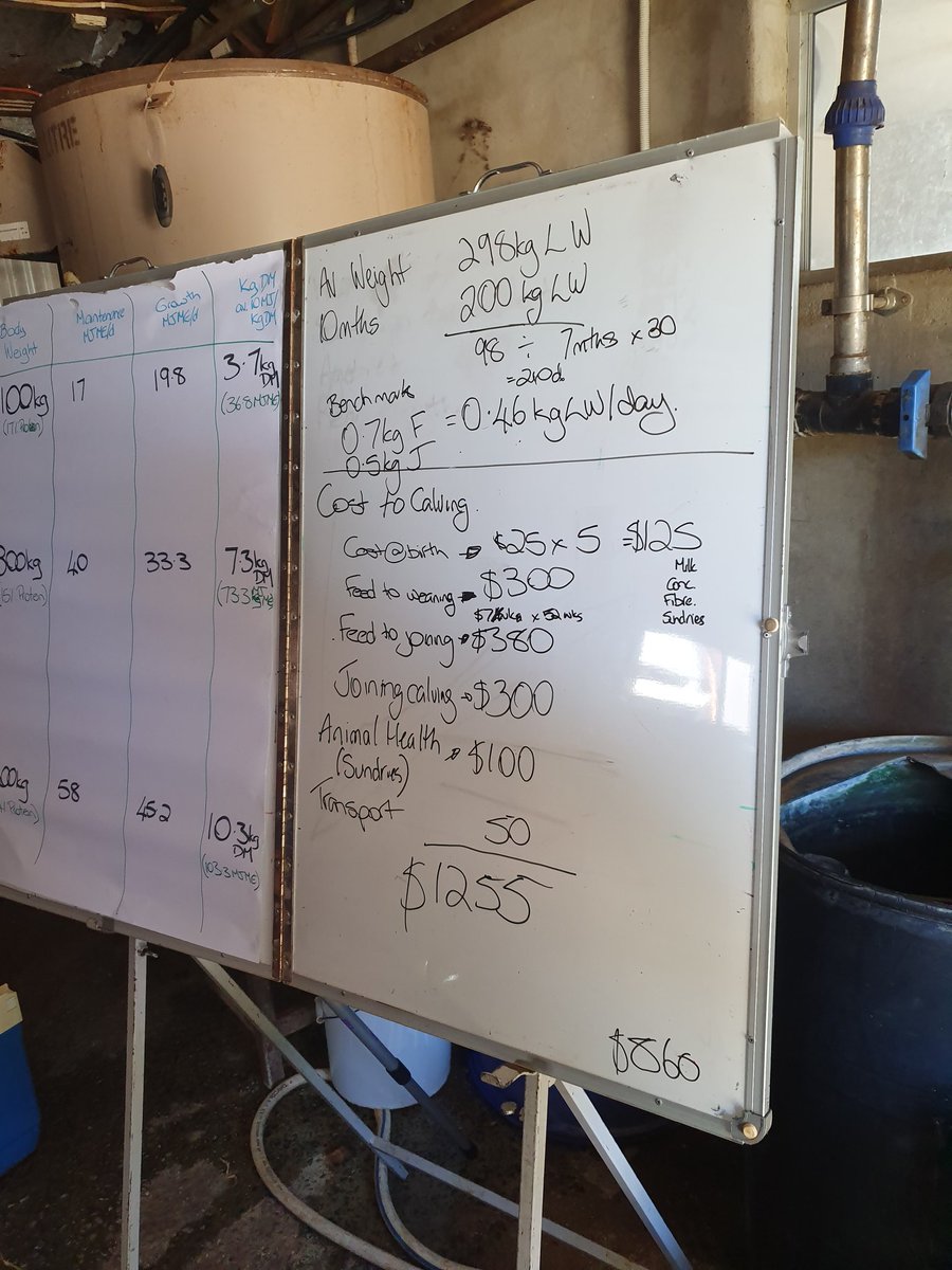 Dairy High Devonport discussion group hosted by Sam Flight from TIA and presenter Liz Mann from Dairy Tas. Focusing on young stock management and breaking down the cost of growing out your heifers.
<a href="/elizabethmann77/">Elizabeth Mann</a> 
<a href="/TIADairy/">TIA Dairy</a> <a href="/TasInAg/">TIA</a> <a href="/dairy_tas/">DairyTas</a> #agriculture #dairyfarmers #dairy