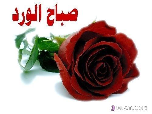 bI9j84QU4zmdGiT's tweet image. 