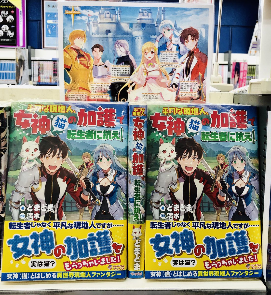 どまどま ラノベ作家 V Twitter T Co 0ijae2hml0 転生者に 抗え 平凡な現地人はそれでも諦めない 書籍版 平凡な現地人 女神 猫 の加護で転生者に抗え 更新しました タイトル ミア 帰ったら説教だ こういうの弱いので我ながら泣く