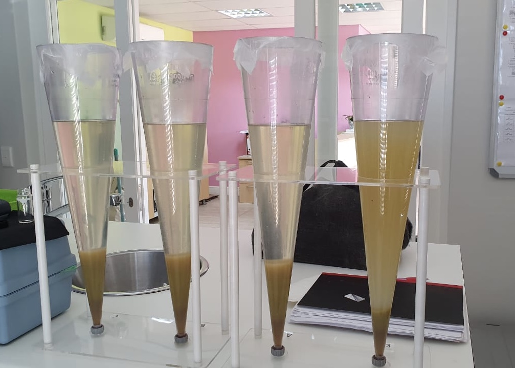 Laffort South Africa tweet media