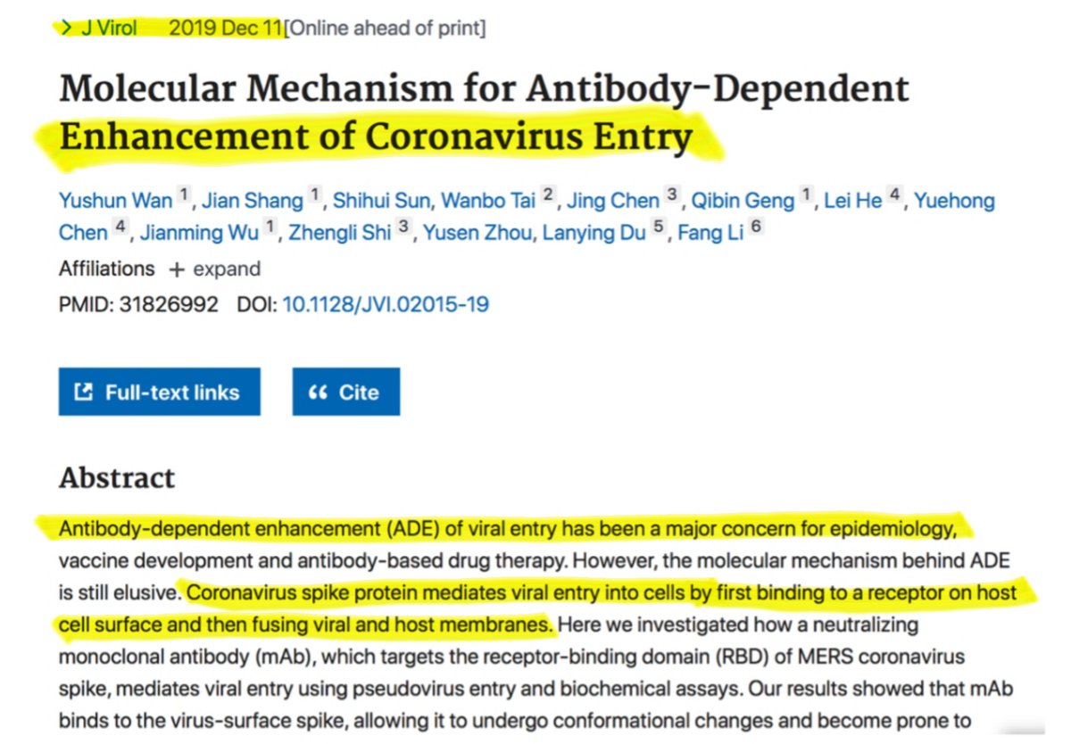 42. Remember, her lab is conducting this research 8 miles away from the claimed epicenter. You've all seen the map pics.But did you know she & her colleagues published this paper just 1 DAY BEFORE the outbreak was reported?! Coincidence? Any Vegas odds-makers out there? 