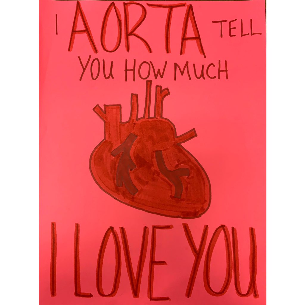 LatusMs's tweet photo. It’s Valentine’s Day and in A&amp;P that means we get to have a bit of fun! Making anatomically correct valentines was a fun way to review cardiac terms and get creative ❤️
@BISD_Tweet @hampton_keri #ValentinesIsComing #Valentine2020 https://t.co/1ebgL8FRyF