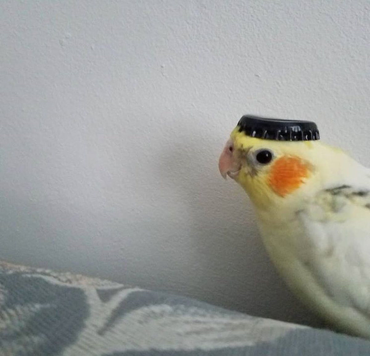 what religion is this