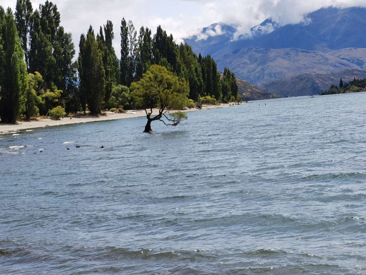 BJTOPDIZEL's tweet image. Many types of nozzle nuts available, for injectors of Bosch, Denso, CAT, Delphi, IVECO, FOTON CUMMINS, etc. 

#injectors #Boschinjector #Cumminsinjector #Boschinjectors #Cumminsinjectors  #commonrailnozzzle #dieselnozzle #nozzlenut #nozzlenuts #nutfornozzle #nutfornozzles