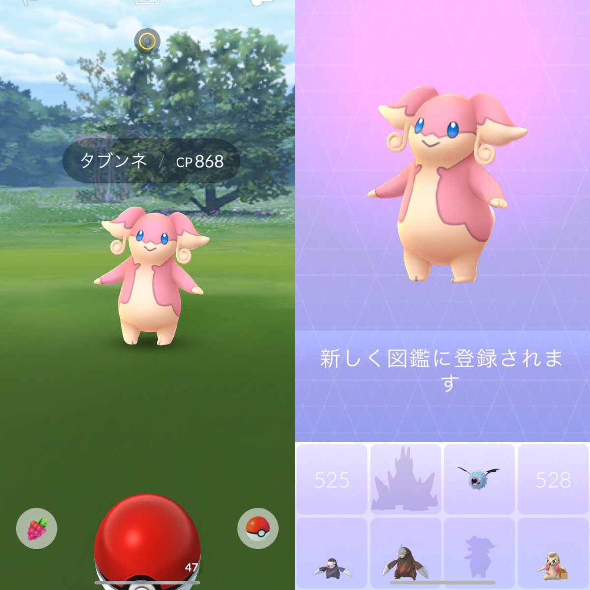 ポケモンgo タブンネはほしのすなを大量に持っている特別仕様 全力ダッシュ案件 ポケモンgo攻略まとめ速報