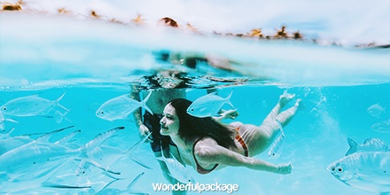 wonderfulweb's tweet photo. 🌊 นึกถึงทะเล คงเป็นที่ไหนไปไม่ได้นอกจาก... ทะเลมัลดีฟส์จ้า⛱
น้ำใสๆ 🐠เห็นปลาแหวกว่ายอย่างใกล้ชิด แถมที่พักก็สุดชิลล์🏝 บริการเลิศเวอร์ จะพักร่างทั้งที มัลดีฟส์ นี่แหละคือคำตอบของการพักผ่อนที่แท้ทรู https://t.co/uAFKq5tROI
.
#มัลดีฟส์ #Maldives #เที่ยวทะเล https://t.co/bUJOJxwtY2