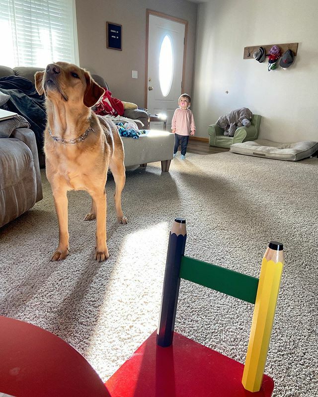 katierhae7's tweet photo. Sariah and Mav were both wondering what that bright light shining in the sky today was?! 😂😂😂 .
But seriously thankful for sunshine and time spent with our little girl and big ol’ pup ❤️ https://t.co/RTSNn7FlZp https://t.co/Sd7JfVB2ZY