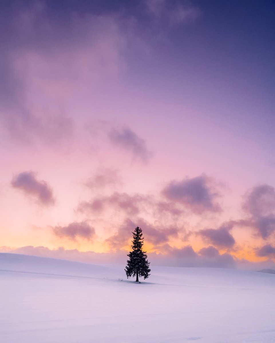 Photo_MovingOff's tweet photo. Algo tan sencillo se puede volver increíble. Contáctanos y modificamos tus fotografías. 
https://t.co/PcBO0G79fT 
#tree #nature #trees #photography #naturephotography #landscape #christmas #sky #autumn #forest #love #photooftheday #art #beautiful #travel #ig @En_laDelValle https://t.co/CEjtAYa1JD