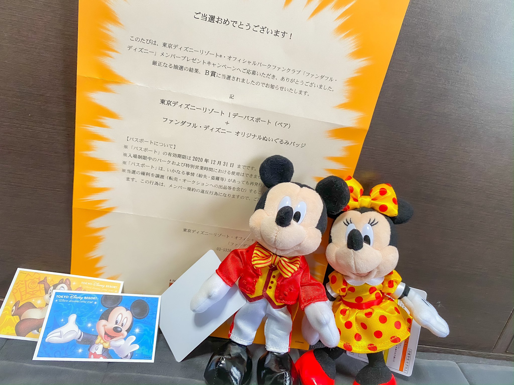 ちょこちっぷ オリエンタルランドからの不在票って何かと思ったらこれだった 当たった ファンダフルディズニー T Co Otqjd8nkkl Twitter