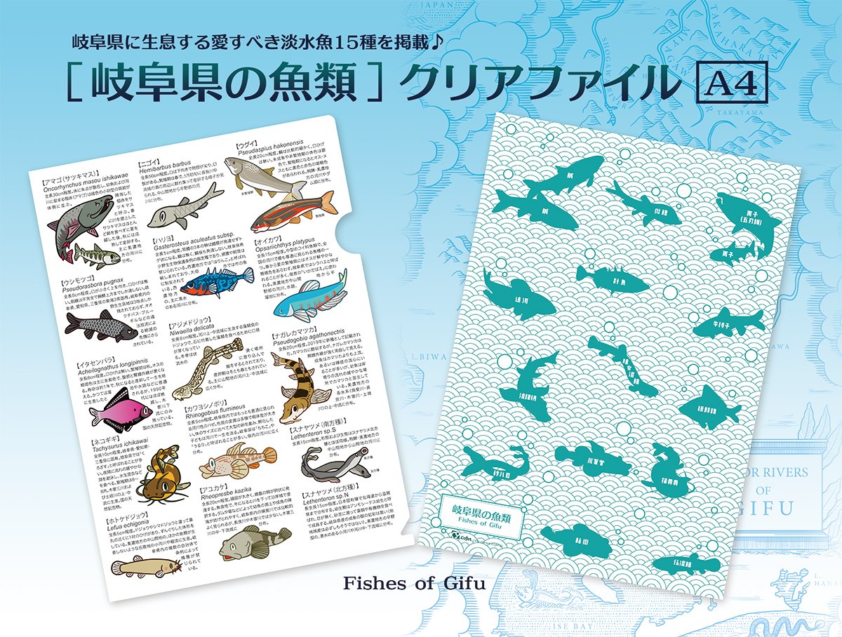 コジェット カエル部 6 24 名古屋ハペものづくし アマゴ オイカワ ウグイ ニゴイ ハリヨ アジメドジョウ ホトケドジョウ ネコギギ ナガレカマツカ ウシモツゴ イタセンパラ アユカケ ホトケドジョウ カワヨシノボリ スナヤツメ南北の15種 3