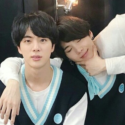 you ever think about how cats have their one [1] favorite human i think seokjin is that human to yoongi; a thread