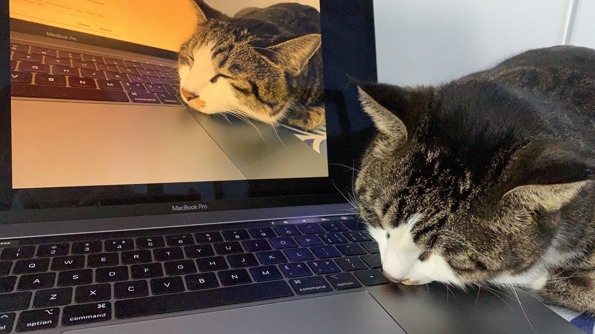 ChouCode's tweet image. 😴