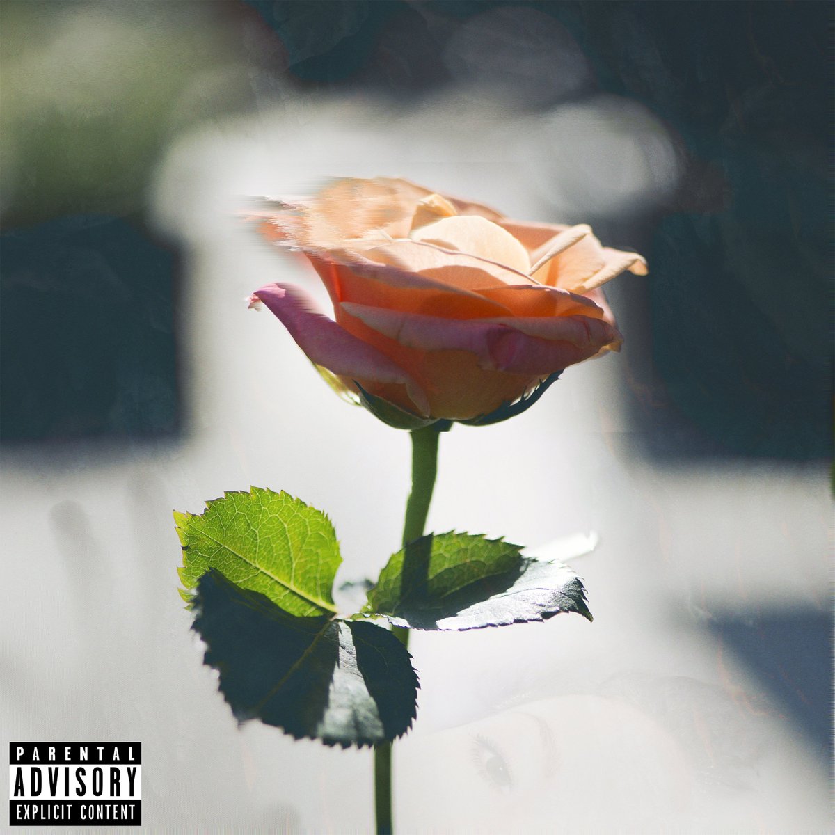 1bugcity's tweet image. MOVING ON: A PROJECT BY STARS 
OUT NOW!!! 💫🌷

SOUNDCLOUD: soundcloud.com/starsmp3/sets/…
SPOTIFY: open.spotify.com/album/4MxSFxPf…

SHOW LOVE &amp;lt;3 THANK YOU