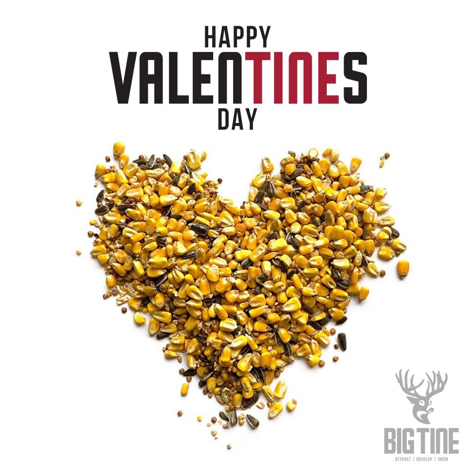 Big Tine Official (@big_tiner) on Twitter photo 