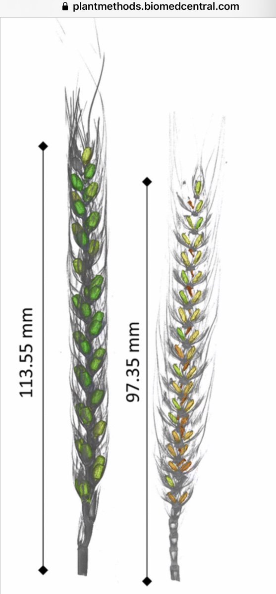 Jessica Schmidt tweet media