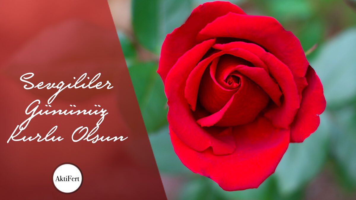 Sevgililer gününüz kutlu olsun 🌹💓

#14Subat #sevgililergünü #ValentinesDay