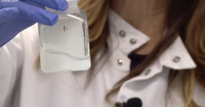 View image on Twitter