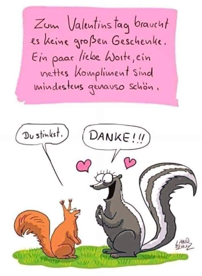 ImzZerr's tweet photo. Guten Morgen ihr da draußen 🤗
Ich wünsche euch einen schönen Valentinstag mit euren Lieben 💕 https://t.co/bQBVUVa45R