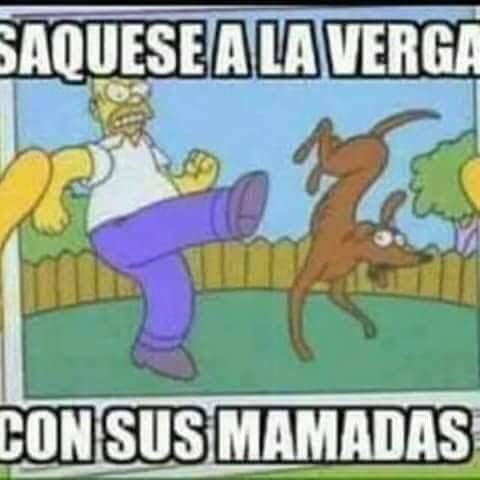 IRAVEL_ENGEL's tweet photo. Ni empiecen con sus chingaderas de amor eh? https://t.co/tPOIa5cGZ3