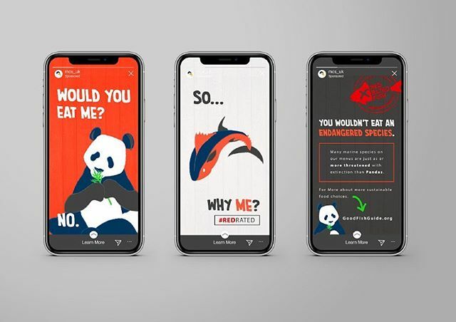 MCS good fish guide app, Zoe C.