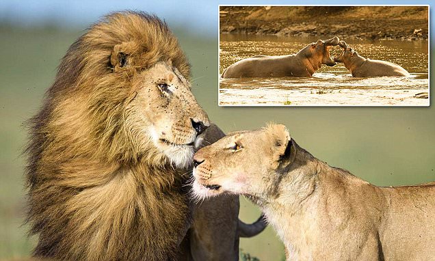 Our customers are the #heart of the company. You are very special to us. Happy #ValentineDay2020 peeps 
😀😍💞💖💘💟