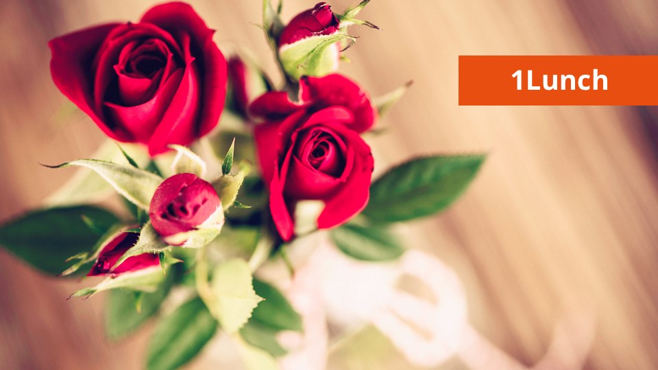 Tiener opgepakt voor de gewapende overval op een snackbar, liefde overwint op vijftig manieren de dood en we gaan veel meer betalen voor het waterschap. Dit en meer, vandaag in de #1Lunch..