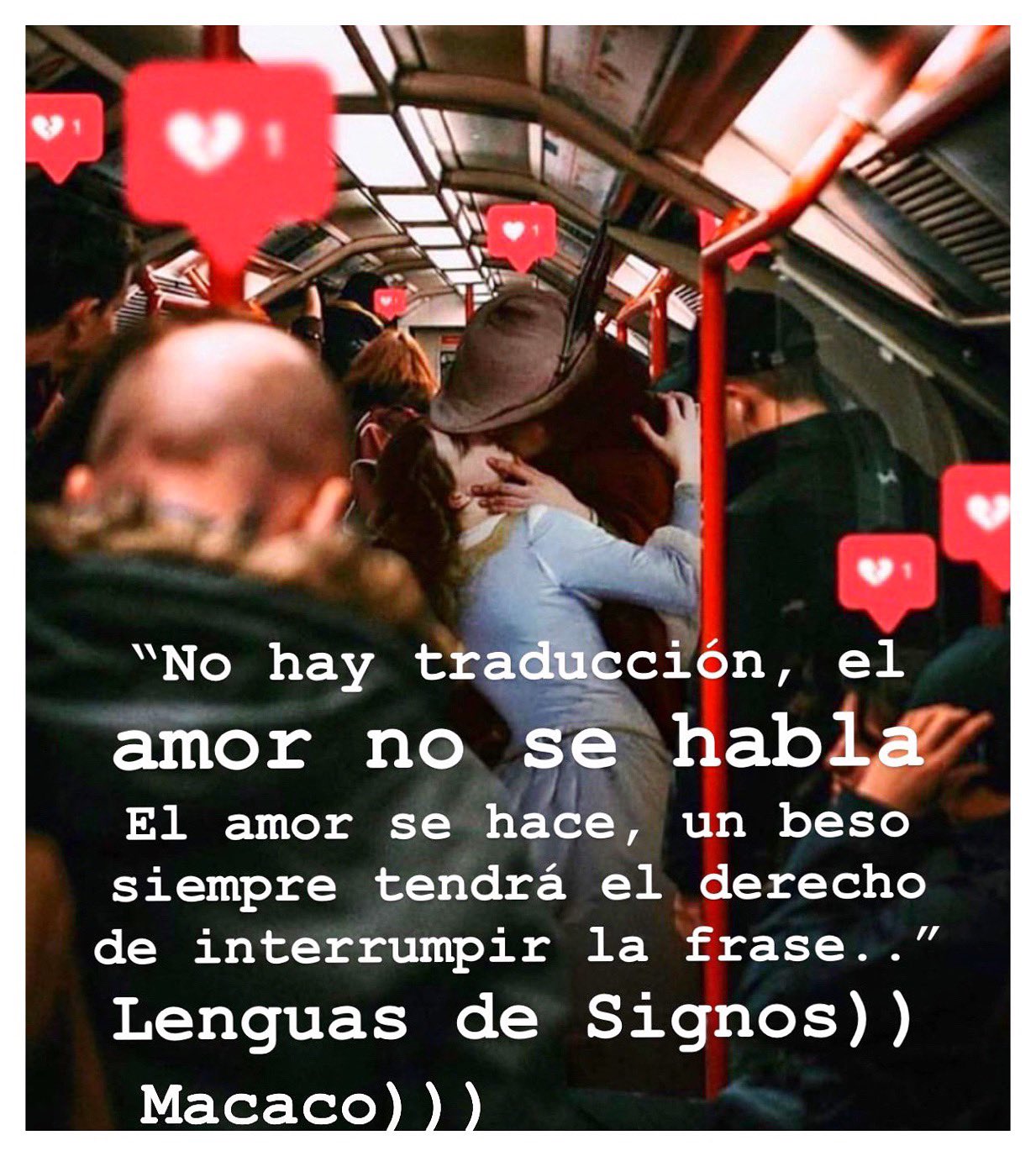 Macaco on Twitter: Macaco on Twitter: