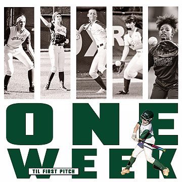 DFsoftball's tweet photo. One Week until first pre-season pitch! #dutchforksoftball #foxpride #dfsoftball #silverfox https://t.co/XsG1F8Lu1d