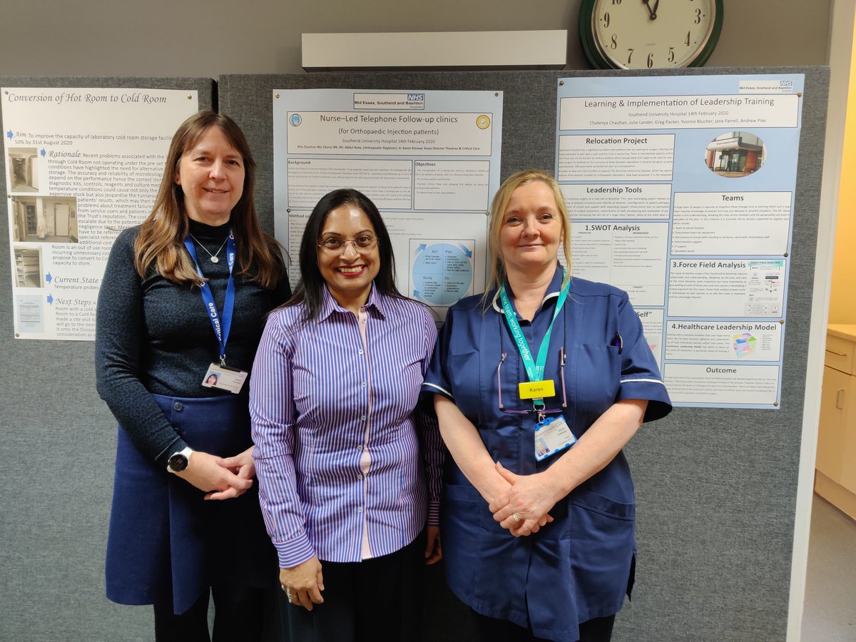 Participants of the MSE Leadership program showcasing their improvement projects at the celebration event! @SouthendNHS @BasildonHosp @broomfieldnhs @ChristinePearcy @Sam_Brightwell @abiblakey