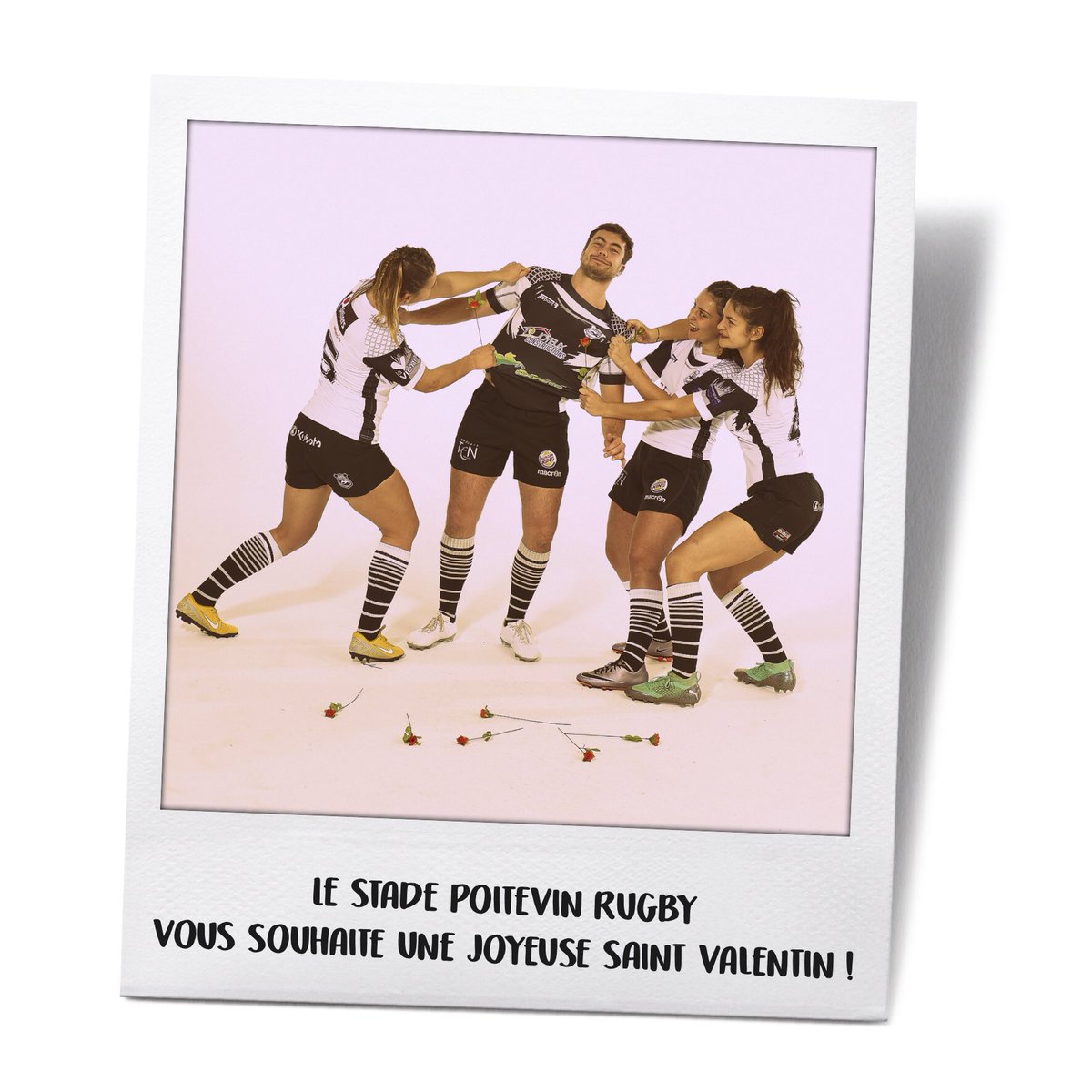 Stade Poitevin Rugby (@poitevinrugby) on Twitter photo 
