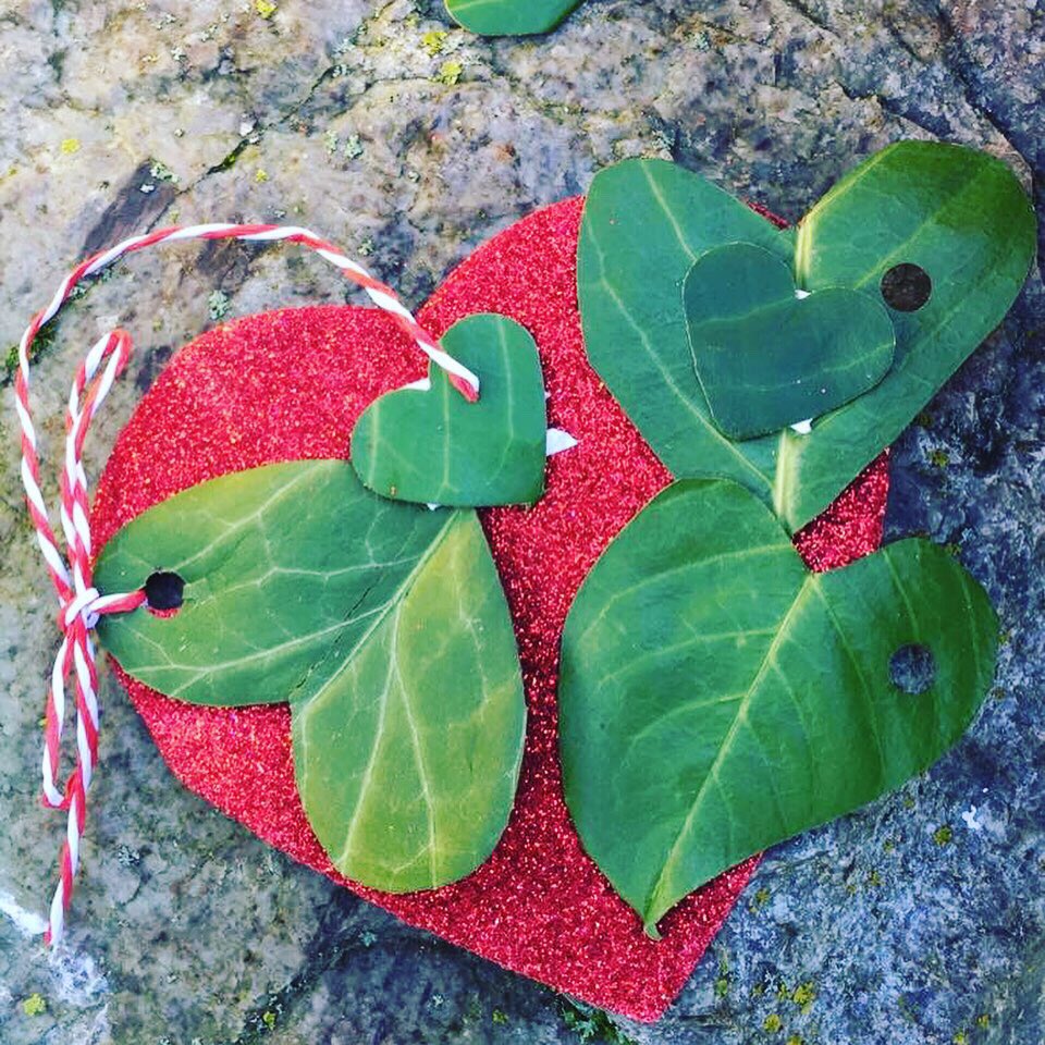 #HappyValentines to all our followers 🌲❤️🌳

#ValentinesDay2020 
#forestschool 
#outdoorlearning